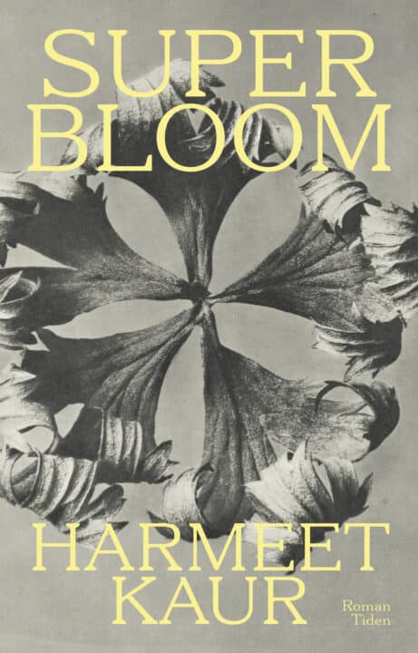 Superbloom